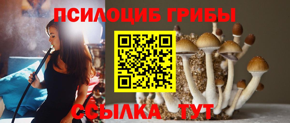 Псилоцибиновые грибы Cubensis  Вход с VPN  где продают наркотики  Бутурлиновка 